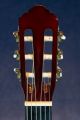 Vision Classic CC10